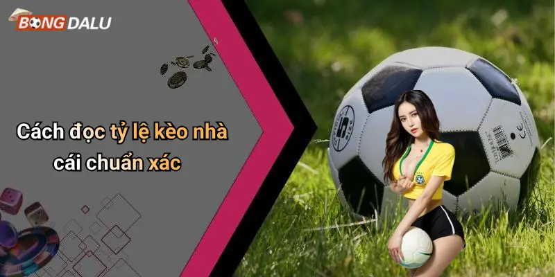 Cách đọc tỷ lệ kèo nhà cái chuẩn xác