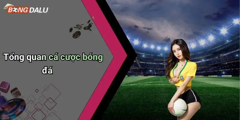 Tổng quan cá cược bóng đá