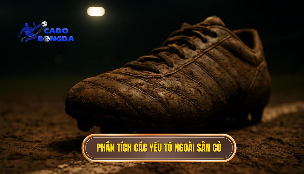 Phân Tích Chuyên Sâu Các Yếu Tố Ngoài Sân Cỏ