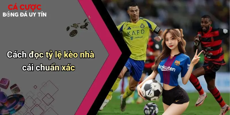 Cách đọc tỷ lệ kèo nhà cái chuẩn xác
