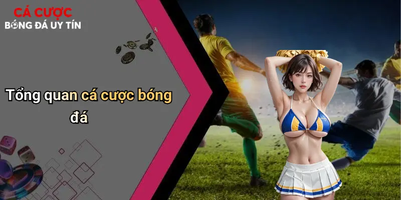 Tổng quan cá cược bóng đá