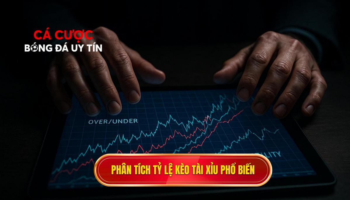 Phân tích các tỷ lệ kèo tài xỉu phổ biến trên thị trường