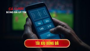 thumb - Tài xỉu bóng đá