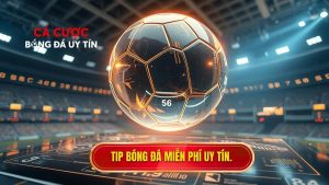 Tip bóng đá miễn phí uy tín.