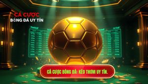 Cá cược bóng đá_ Kèo thơm uy tín.