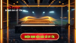 Nhận định kèo giải cỏ uy tín.