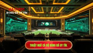 Thuật ngữ cá độ bóng đá uy tín.